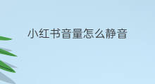 小红书音量怎么静音 小红书音量怎样调节