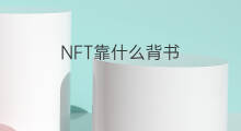 NFT靠什么背书 如何背书快手