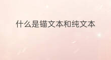 什么是锚文本和纯文本 锚文本和纯url哪个好