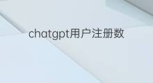 chatgpt用户注册数 chatgpt注册数量