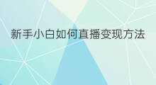 新手小白如何直播变现方法 新手小白如何抖音变现教程