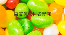 百度优化排名新闻 百度新闻稿怎么排名