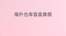 海外仓库盲盒真假 真假骑士盲盒