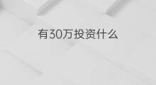 有30万投资什么 30万投资什么