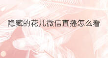 隐藏的花儿微信直播怎么看 微信怎么看的直播