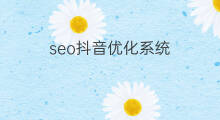 seo抖音优化系统 seo优化系统