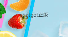 chatgpt正版(正版chatgpt图标)