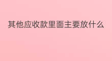 其他应收款里面主要放什么 长期应收款减值放哪