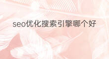 seo优化搜索引擎哪个好 seo搜索引擎优化的好