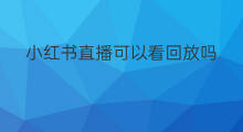 小红书直播可以看回放吗 小红书回放怎么放