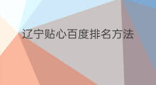 辽宁贴心百度排名方法 辽宁百度排名方法