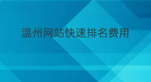 温州网站快速排名费用 温州网站排名方法