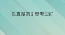 垂直搜索引擎哪些好 垂直搜索引擎有哪些副业