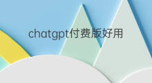 chatgpt付费版好用吗 chatgpt国内版好用吗