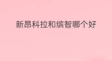 新昂科拉和缤智哪个好 新昂科拉颜色选择