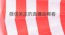 微信关注的直播去哪看 关注的微信直播去哪找
