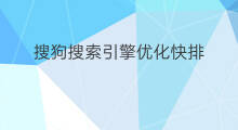 搜狗搜索引擎优化快排 搜狗搜索引擎网排名优化