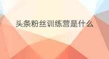 头条粉丝训练营是什么 头条训练营怎么吸到粉丝