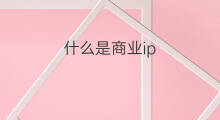 什么是商业ip 什么是商业ip什么是个人ip