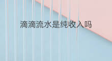 滴滴流水是纯收入吗 纯收入啥意思