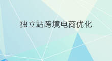 独立站跨境电商优化 跨境独立站的优化
