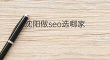 沈阳做seo选哪家 沈阳seo哪家值得信赖