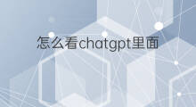 怎么看chatgpt里面的余额(vscode里面的chatgpt怎么用)