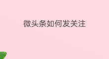 微头条如何发关注 微头条如何设置关注
