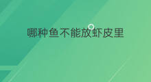 哪种鱼不能放虾皮里 哪种鱼不能放虾皮
