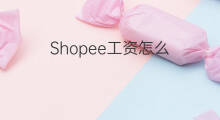 Shopee工资怎么 shopee为啥工资高