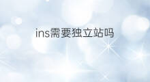 ins需要独立站吗 ins创业要独立站吗