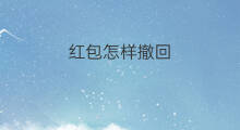 红包怎样撤回 怎样撤回红包