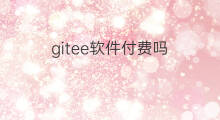 gitee软件付费吗 spycall软件付费吗