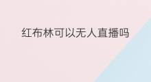 红布林可以无人直播吗 快手直播子林多大