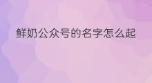 鲜奶公众号的名字怎么起 如何起公众号名字