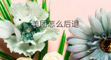 美团怎么后退 抖音如何快进后退