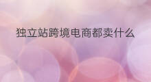 独立站跨境电商都卖什么 独立站跨境电商卖什么好