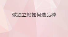 做独立站如何选品种 做独立站如何选品