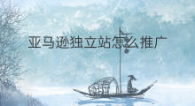 亚马逊独立站怎么推广 亚马逊独立站怎么转账
