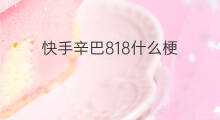 快手辛巴818什么梗 辛巴带什么货
