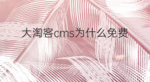 大淘客cms为什么免费 大淘客cms怎么更新