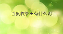 百度收录王有什么呢 百度收录方法
