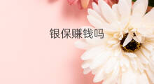 银保赚钱吗 银天下赚钱吗