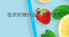 在农村做什么生意好赚钱 农村小本生意做什么好赚钱