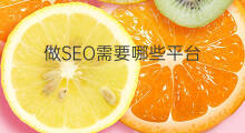 做SEO需要哪些平台 做快手需要关注哪些平台