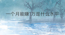 一个月能赚1万是什么水平 一个月赚600万什么水平