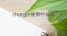 chatgpt使用什么语言写的(chatgpt是什么语言写的)
