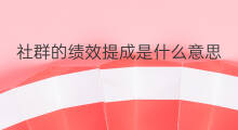 社群的绩效提成是什么意思 seo绩效提成怎么算
