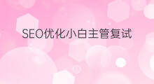 SEO优化小白主管复试 小白怎么面试跨境电商主管