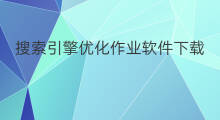 搜索引擎优化作业软件下载 搜索引擎优化作用